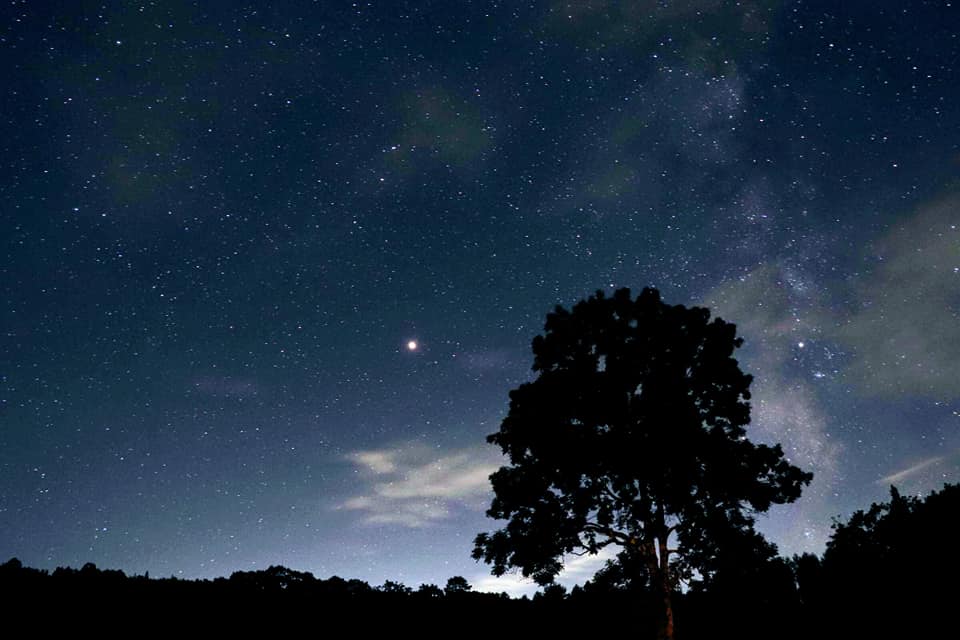 一色の森から見る星空☆ – 一色の森キャンプ場